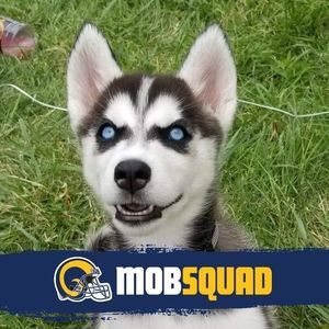 Meet your Posher, Tyson